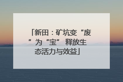 新田：矿坑变“废”为“宝” 释放生态活力与效益