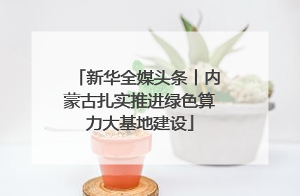 新华全媒头条丨内蒙古扎实推进绿色算力大基地建设