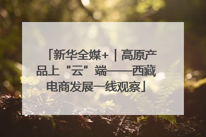 新华全媒+｜高原产品上“云”端——西藏电商发展一线观察