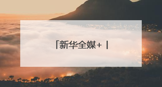 新华全媒+丨全力抢收夏粮 确保颗粒归仓