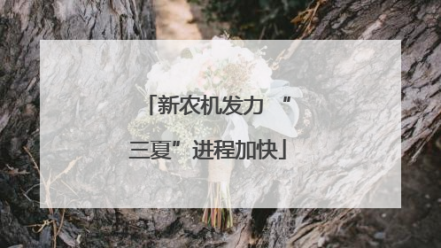新农机发力 “三夏”进程加快
