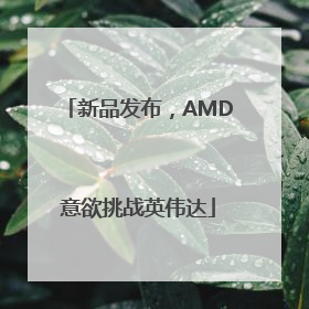 新品发布，AMD意欲挑战英伟达