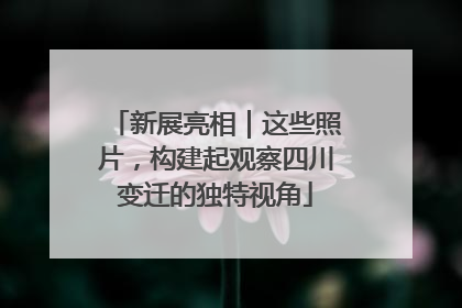 新展亮相｜这些照片，构建起观察四川变迁的独特视角