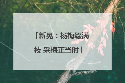新晃：杨梅缀满枝 采梅正当时