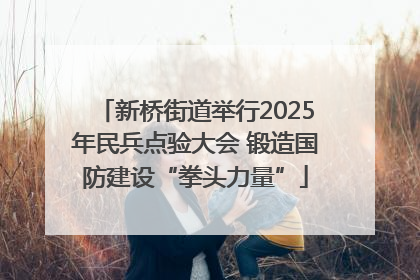 新桥街道举行2025年民兵点验大会 锻造国防建设“拳头力量”