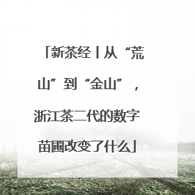 新茶经丨从“荒山”到“金山”，浙江茶二代的数字苗圃改变了什么