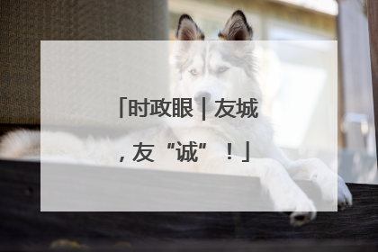 时政眼｜友城，友“诚”！