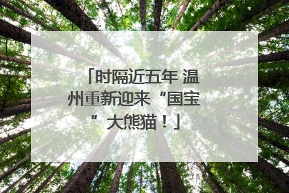 时隔近五年 温州重新迎来“国宝”大熊猫！