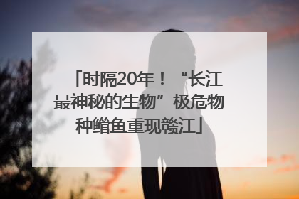 时隔20年！“长江最神秘的生物”极危物种鳤鱼重现赣江