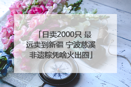 日卖2000只 最远卖到新疆 宁波慈溪非遗粽凭啥火出圈