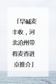 旱碱麦丰收，河北沧州带着麦香进京推介