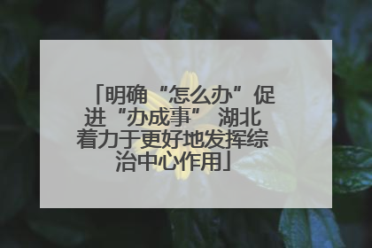明确“怎么办”促进“办成事” 湖北着力于更好地发挥综治中心作用