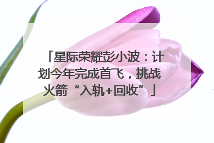 星际荣耀彭小波：计划今年完成首飞，挑战火箭“入轨+回收”