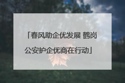 春风助企优发展 鹤岗公安护企优商在行动