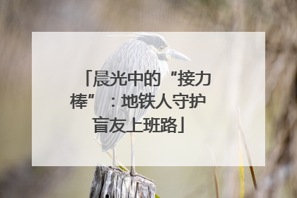 晨光中的“接力棒”：地铁人守护盲友上班路