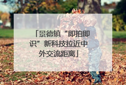 景德镇“即拍即识”新科技拉近中外交流距离