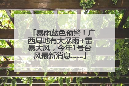 暴雨蓝色预警！广西局地有大暴雨+雷暴大风，今年1号台风最新消息……