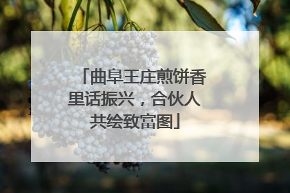 曲阜王庄煎饼香里话振兴，合伙人共绘致富图