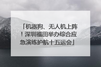 机器狗、无人机上阵！深圳福田举办综合应急演练护航十五运会