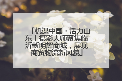 机遇中国・活力山东丨摄影大师聚焦临沂新明辉商城，展现商贸物流新风貌