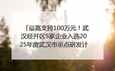最高支持100万元！武汉经开区5家企业入选2025年度武汉市重点研发计划拟立项项目名单