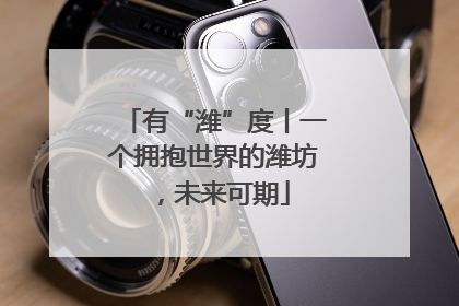 有“潍”度丨一个拥抱世界的潍坊，未来可期