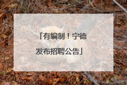 有编制！宁德发布招聘公告