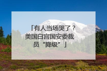 有人当场哭了？美国白宫国安委裁员“降级”