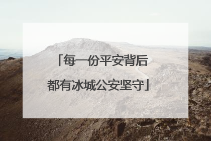 每一份平安背后 都有冰城公安坚守