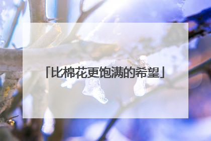比棉花更饱满的希望