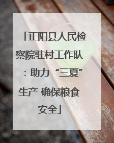 正阳县人民检察院驻村工作队：助力“三夏”生产 确保粮食安全