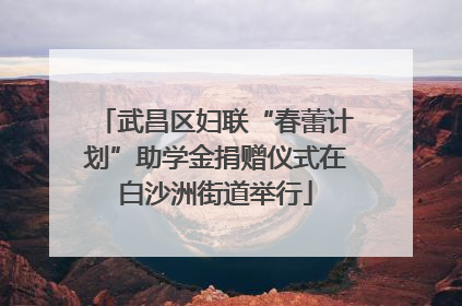 武昌区妇联“春蕾计划”助学金捐赠仪式在白沙洲街道举行