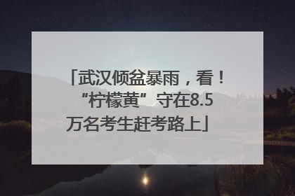 武汉倾盆暴雨，看！“柠檬黄”守在8.5万名考生赶考路上