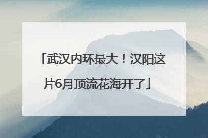 武汉内环最大！汉阳这片6月顶流花海开了