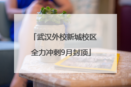 武汉外校新城校区全力冲刺9月封顶