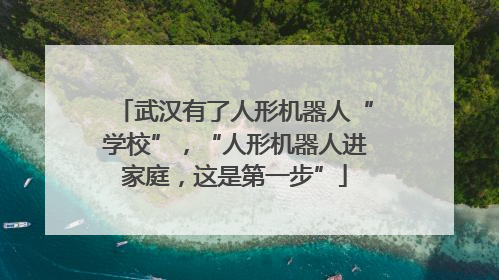 武汉有了人形机器人“学校”，“人形机器人进家庭，这是第一步”