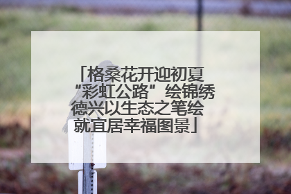 格桑花开迎初夏 “彩虹公路”绘锦绣 德兴以生态之笔绘就宜居幸福图景