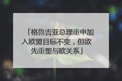 格鲁吉亚总理重申加入欧盟目标不变，但欲先重塑与欧关系