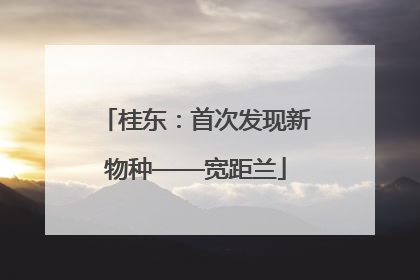 桂东：首次发现新物种——宽距兰