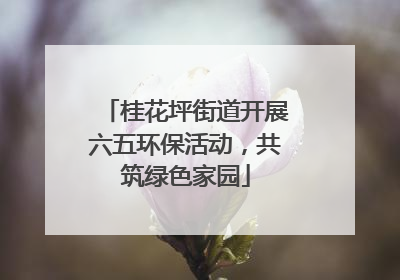 桂花坪街道开展六五环保活动，共筑绿色家园