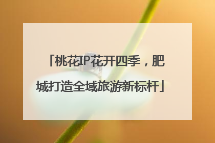 桃花IP花开四季，肥城打造全域旅游新标杆