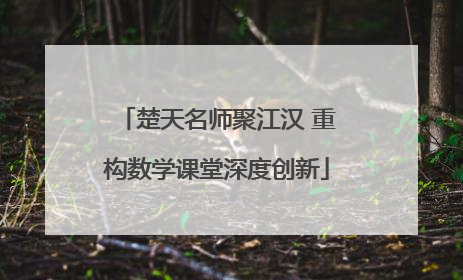 楚天名师聚江汉 重构数学课堂深度创新