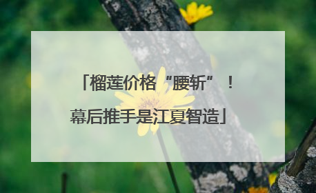 榴莲价格“腰斩”！幕后推手是江夏智造