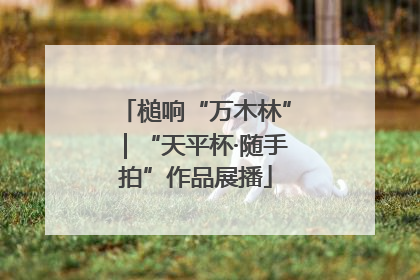 槌响“万木林”｜“天平杯·随手拍”作品展播