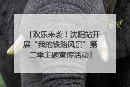 欢乐来袭！沈阳站开展“我的铁路风景”第二季主题宣传活动