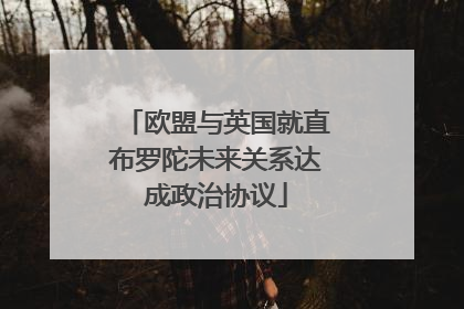 欧盟与英国就直布罗陀未来关系达成政治协议