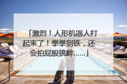 激烈！人形机器人打起来了！拳拳到铁，还会拍屁股挑衅……
