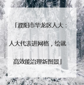濮阳市华龙区人大：人大代表进网格，绘就高效能治理新图景