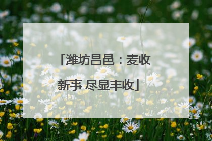 潍坊昌邑：麦收新事 尽显丰收