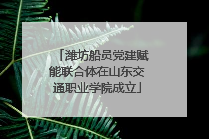潍坊船员党建赋能联合体在山东交通职业学院成立